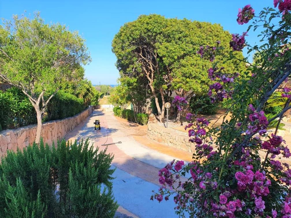 Villa Saba Olbia Exterior foto