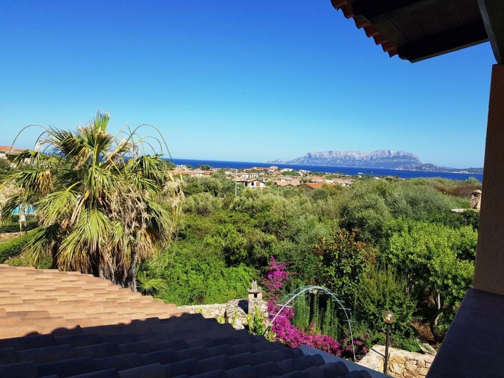 Villa Saba Olbia Exterior foto